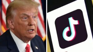 TikTok ban in US: